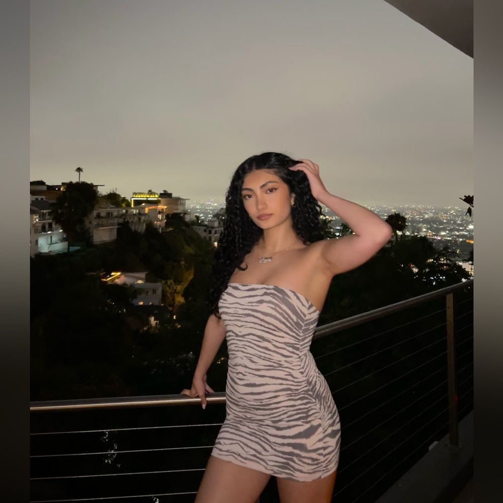 White fox Strapless Zebra Print Bodycon Dress - Baby pink/Gray size small